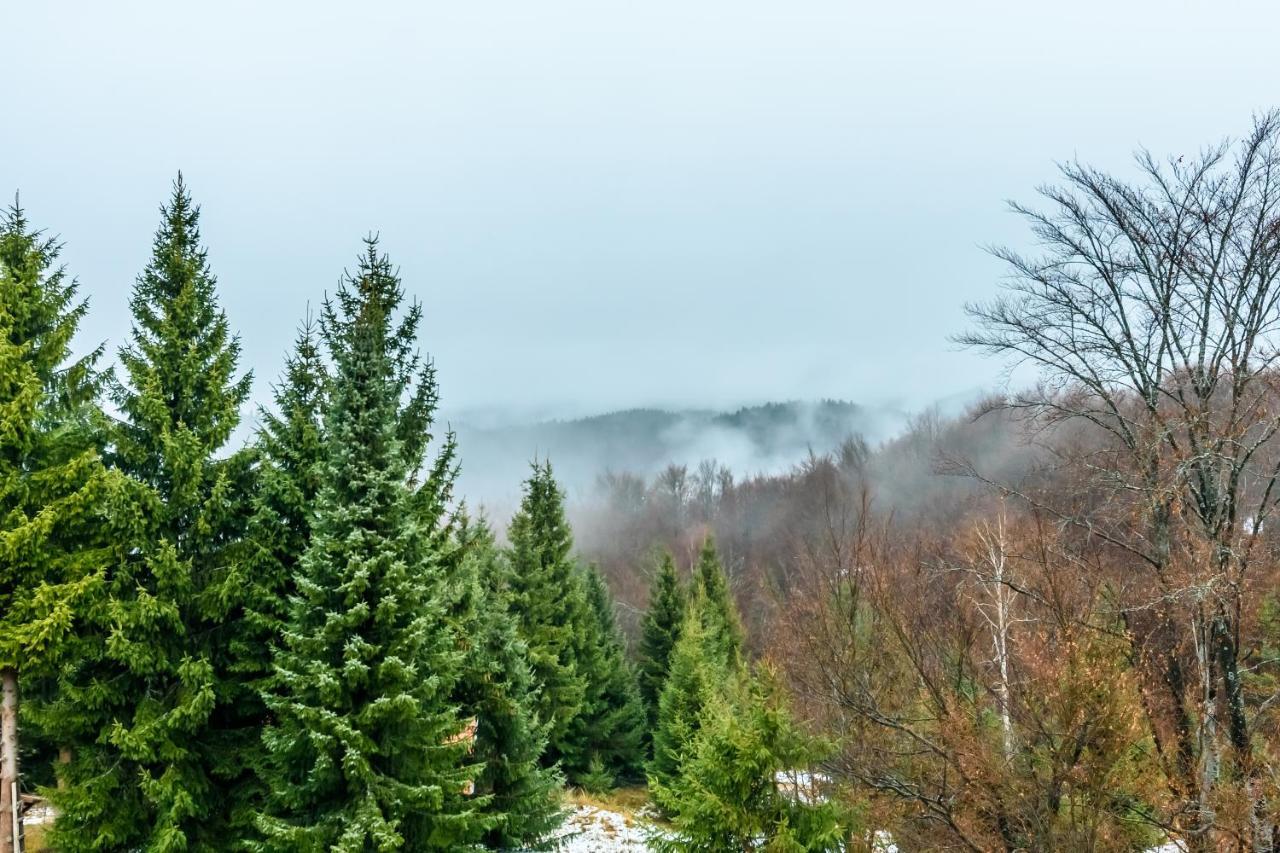 Apartmani “Lazar” I “Lena” Kopaonik Exteriör bild